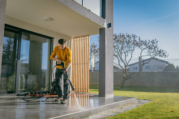 Best Pre-Holiday Cleaning  in Pis, AR